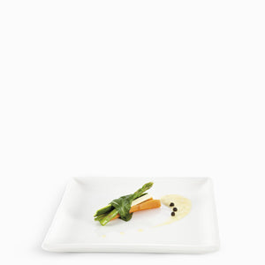 Plato cuadrado pequeño