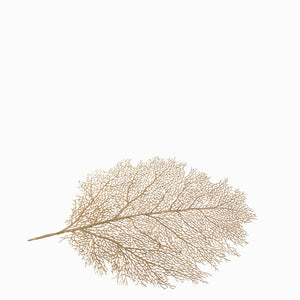 Individual hoja dorada-2-AMBIENTE GOURMET MÉXICO