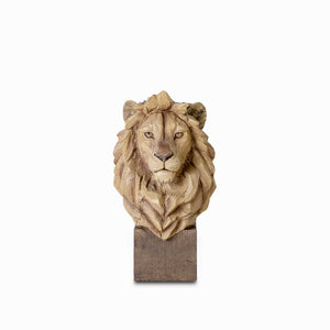 León con base