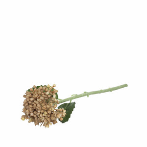 Flor de sedum 30cm