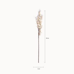 Orquídea Danzante Blanca