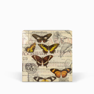 Servilletas mariposas-1-AMBIENTE GOURMET MÉXICO