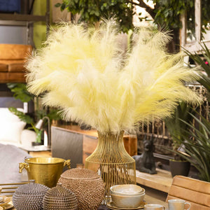 Junco Crema-2-AMBIENTE GOURMET MÉXICO