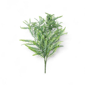 Helecho colgante 80cm-2-AMBIENTE GOURMET MÉXICO