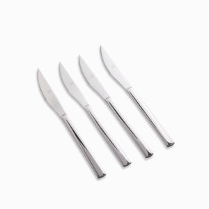 Cuchillo carnes Avesa setx4