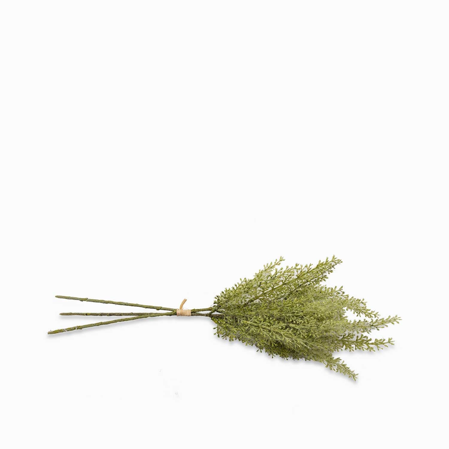 Flor de Astibile verde - Ambiente Gourmet México