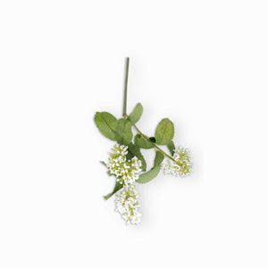 Flor de tallo blanca