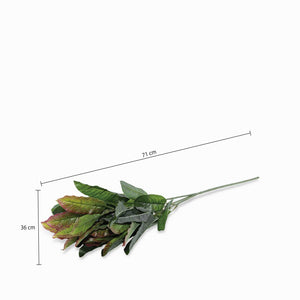 Hoja Mirto - Ambiente Gourmet México