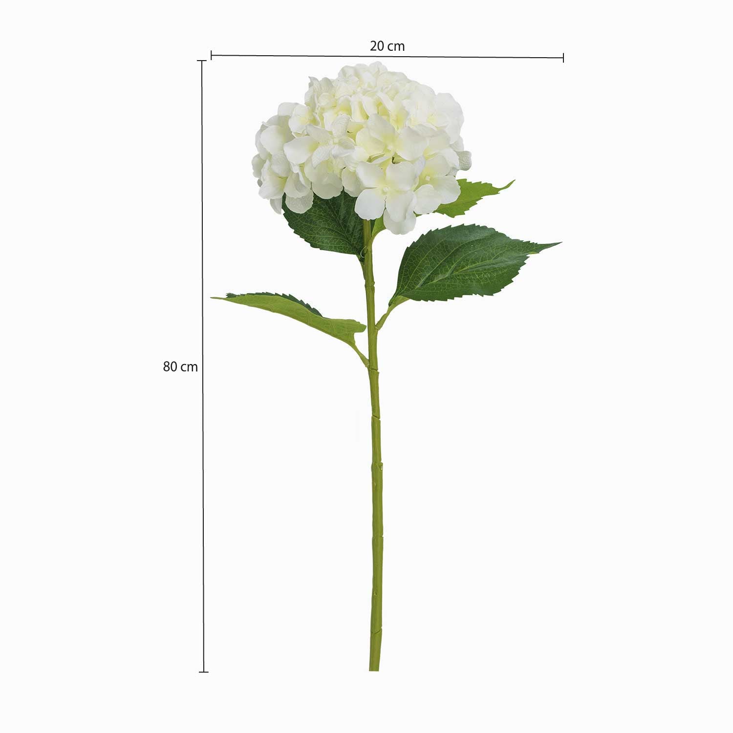 Hortensia blanca - Ambiente Gourmet México