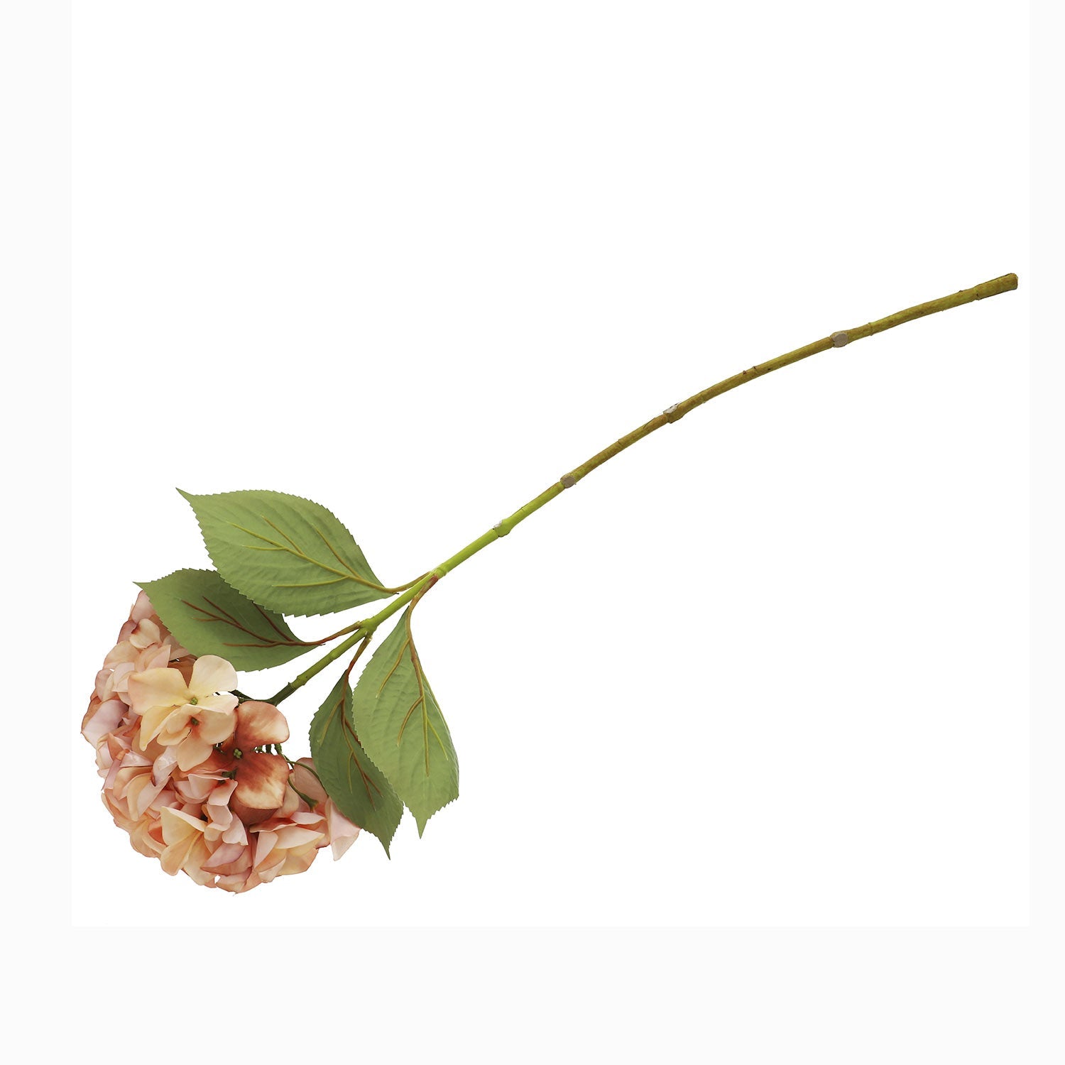 Hortensia durazno 67cm - Ambiente Gourmet México