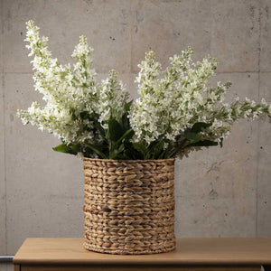 Jacinto 97 cm - Ambiente Gourmet México