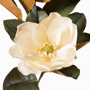 Magnolia 86cm - Ambiente Gourmet México
