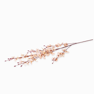 Orquídea Danzante Rosada - Ambiente Gourmet México