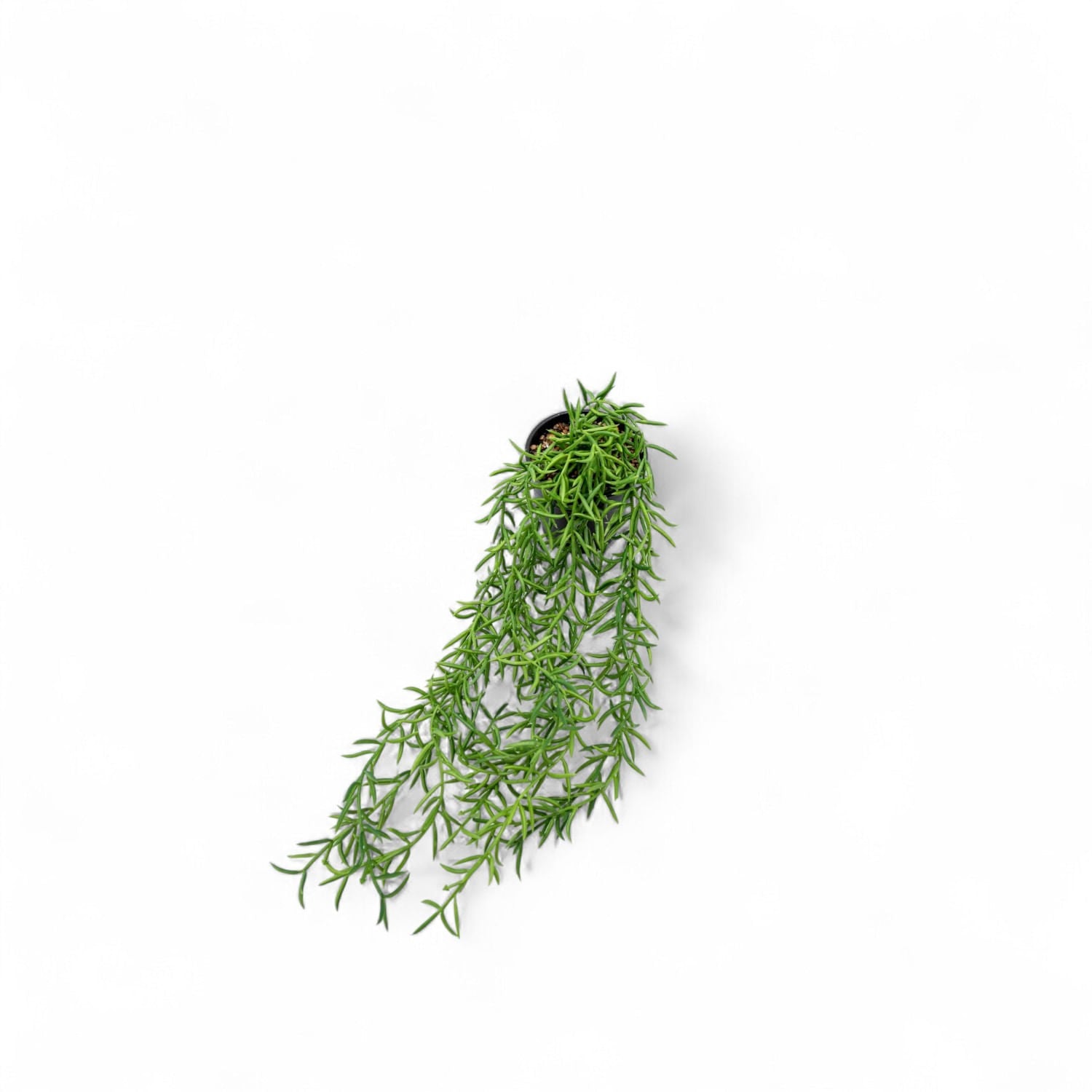 Othona 40cm - Ambiente Gourmet México