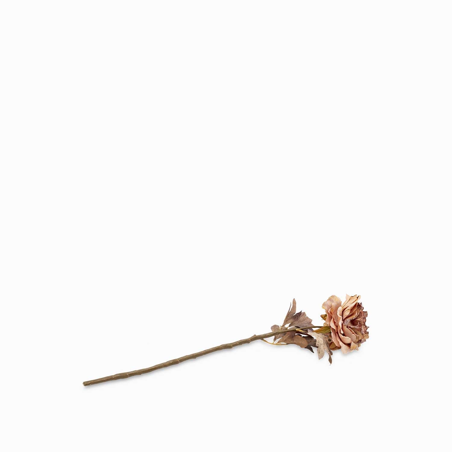 Peonia crema 62cm