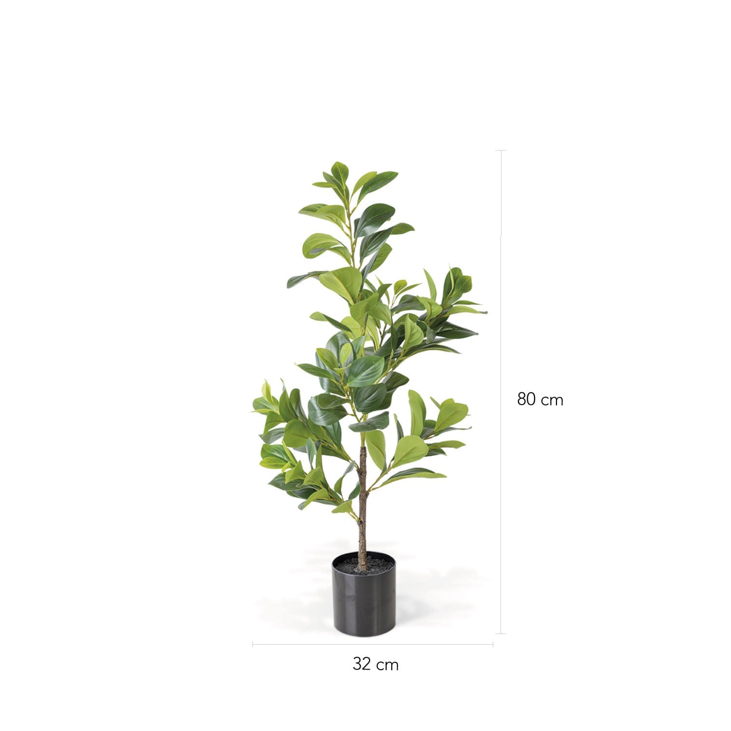 Peperomia Artificial 80cm