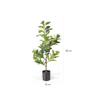Peperomia Artificial 80cm