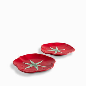 Plato Mediano Huerto Mestizo 21Cm Setx2