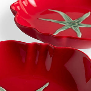 Plato Principal Huerto Mestizo 26Cm Setx2 - Ambiente Gourmet México