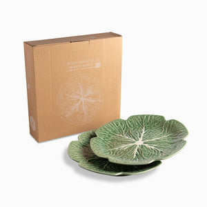 Plato Principal Huerto Verde 26,5Cm Set X2 - Ambiente Gourmet México