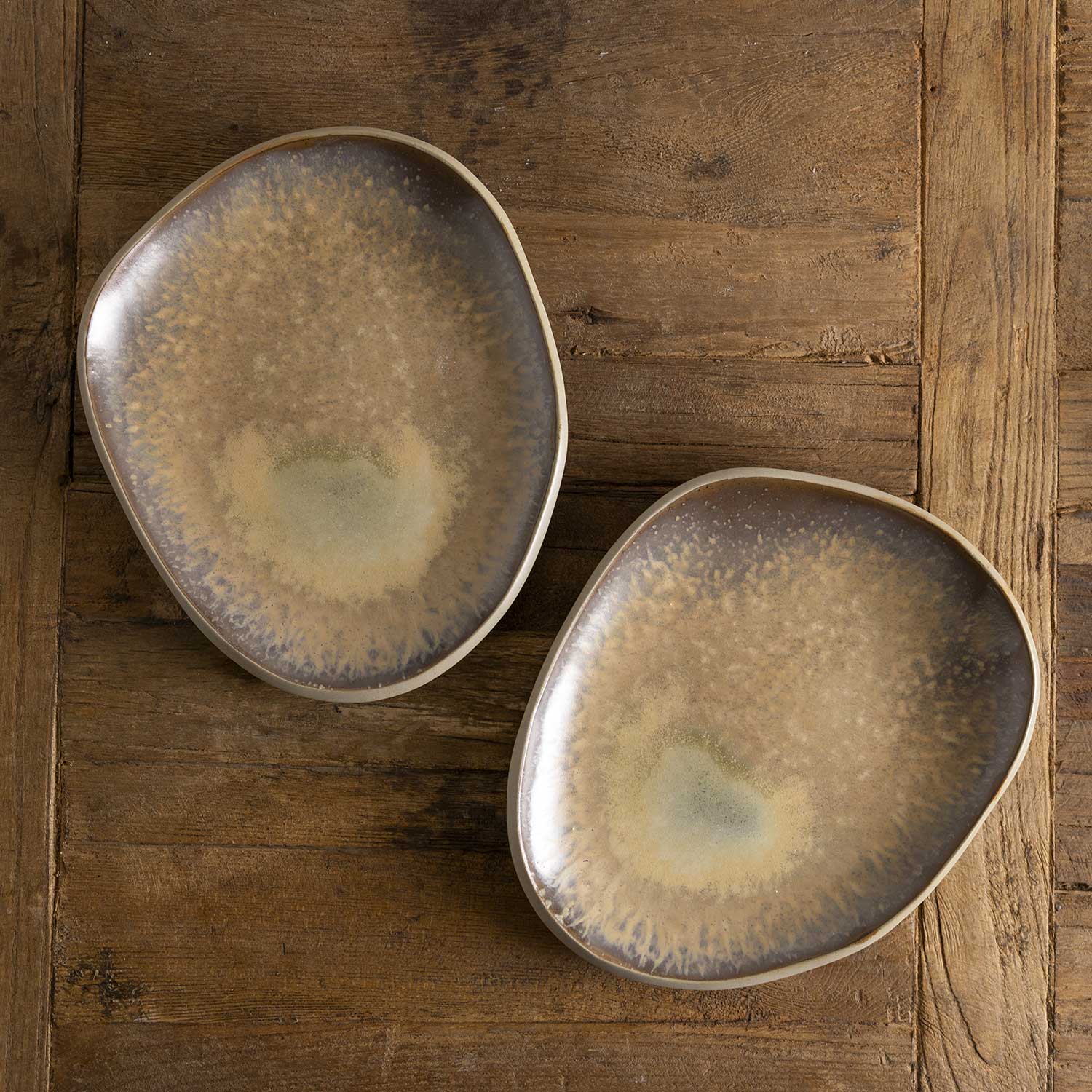 Plato principal oasis 25cm setx2 - Ambiente Gourmet México