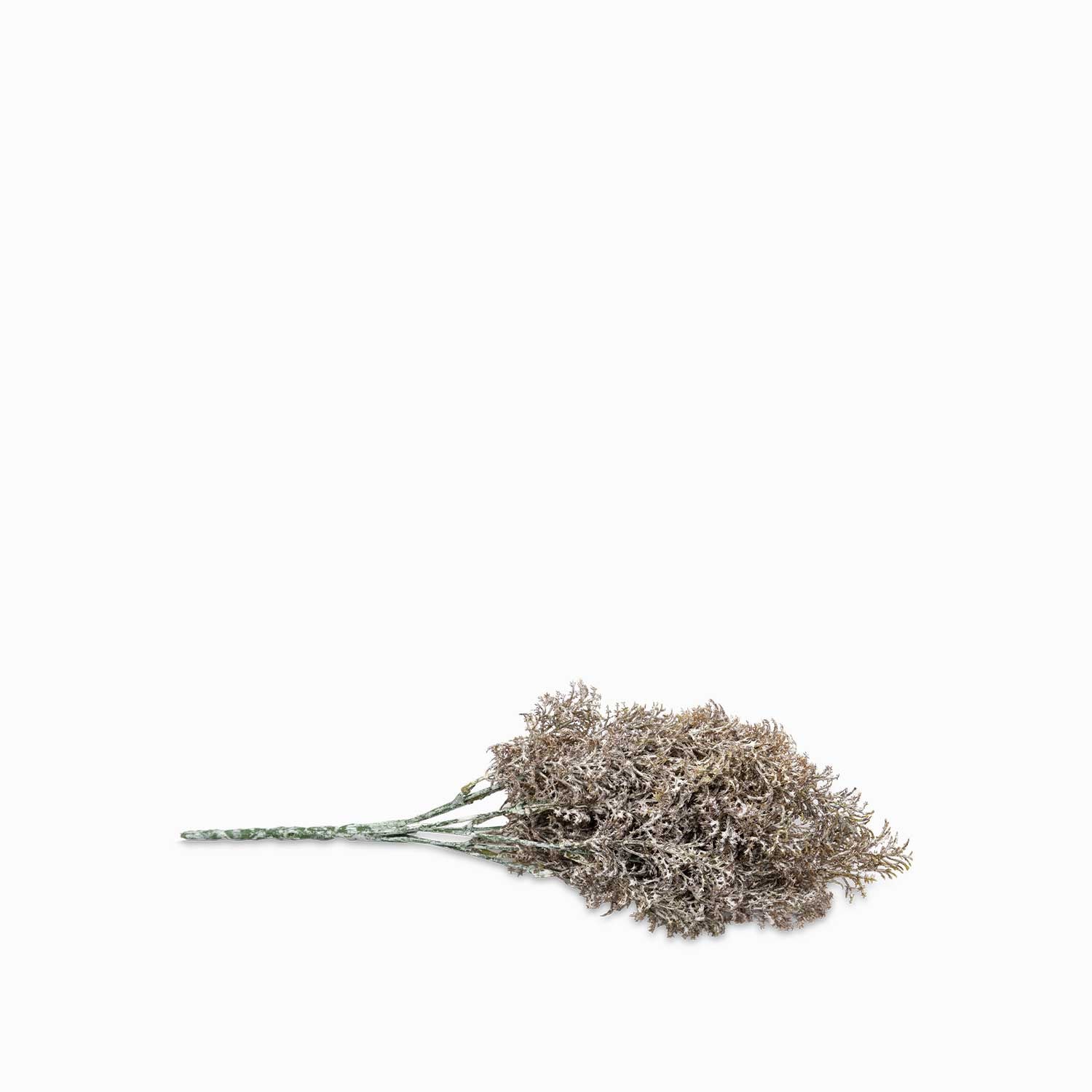 Racimo follaje x 5 - Ambiente Gourmet México