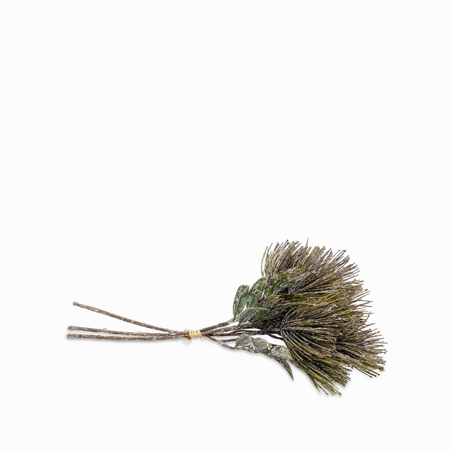 Racimo pino amarillo - Ambiente Gourmet México