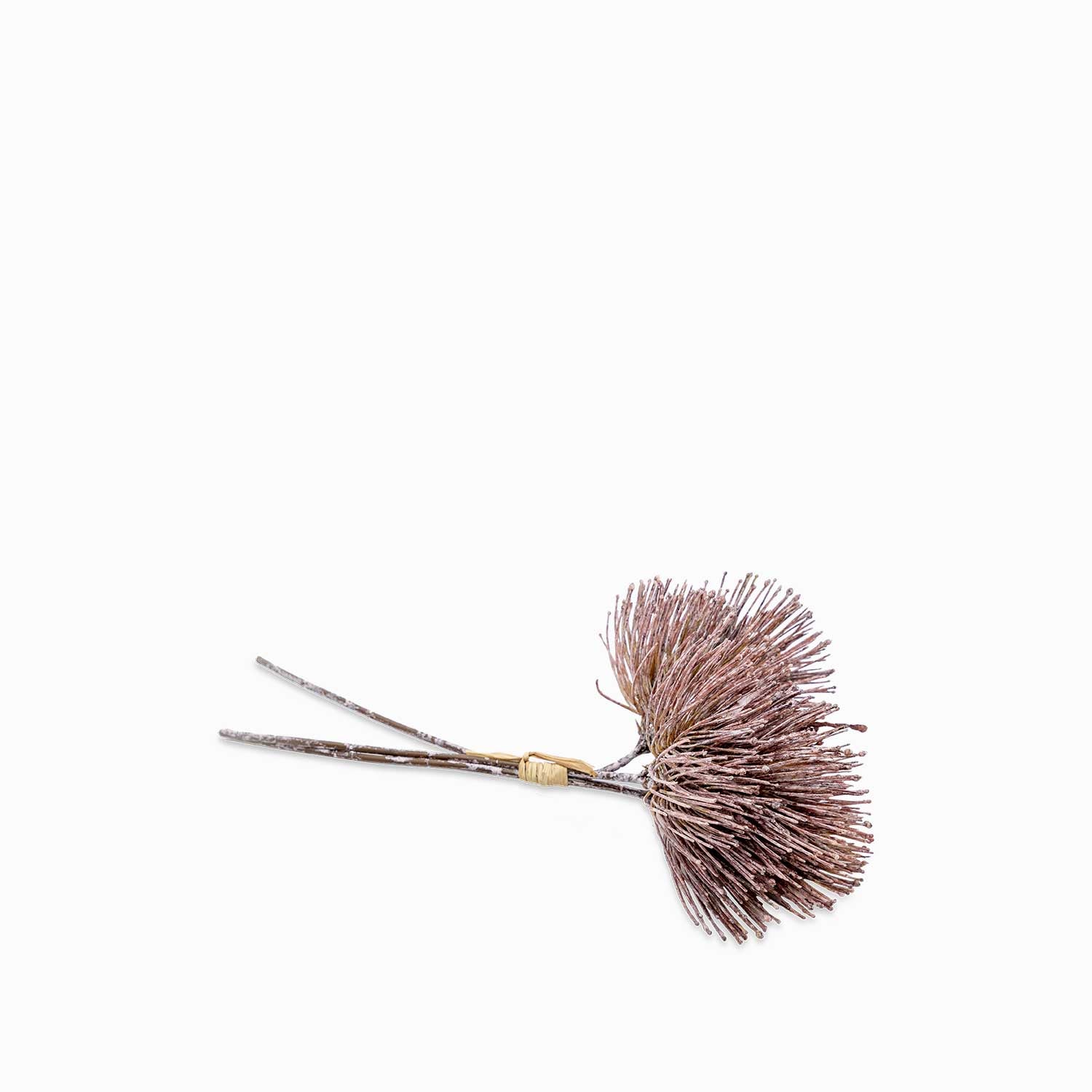 Racimo pino borgoña - Ambiente Gourmet México