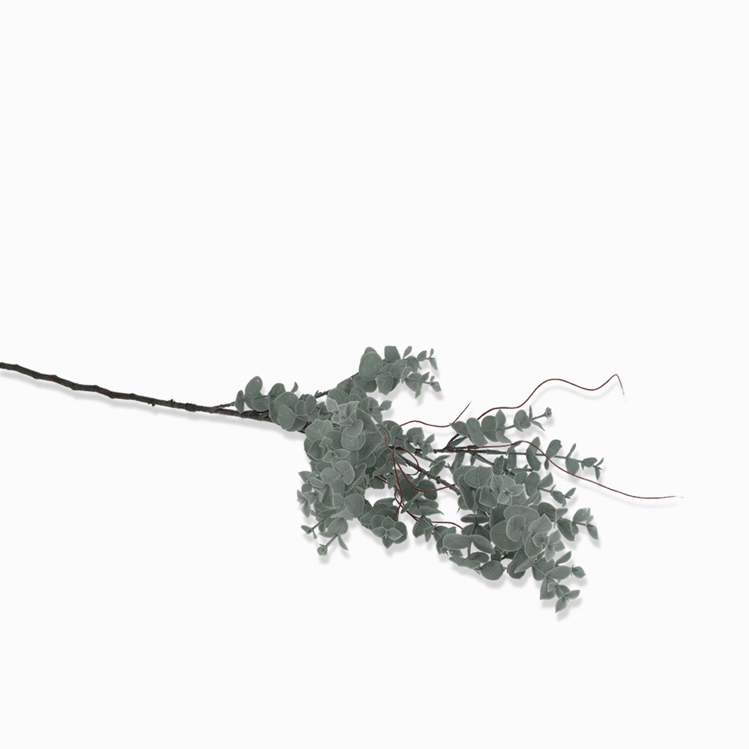 Rama Eucalipto Redondo 86 cm - Ambiente Gourmet México