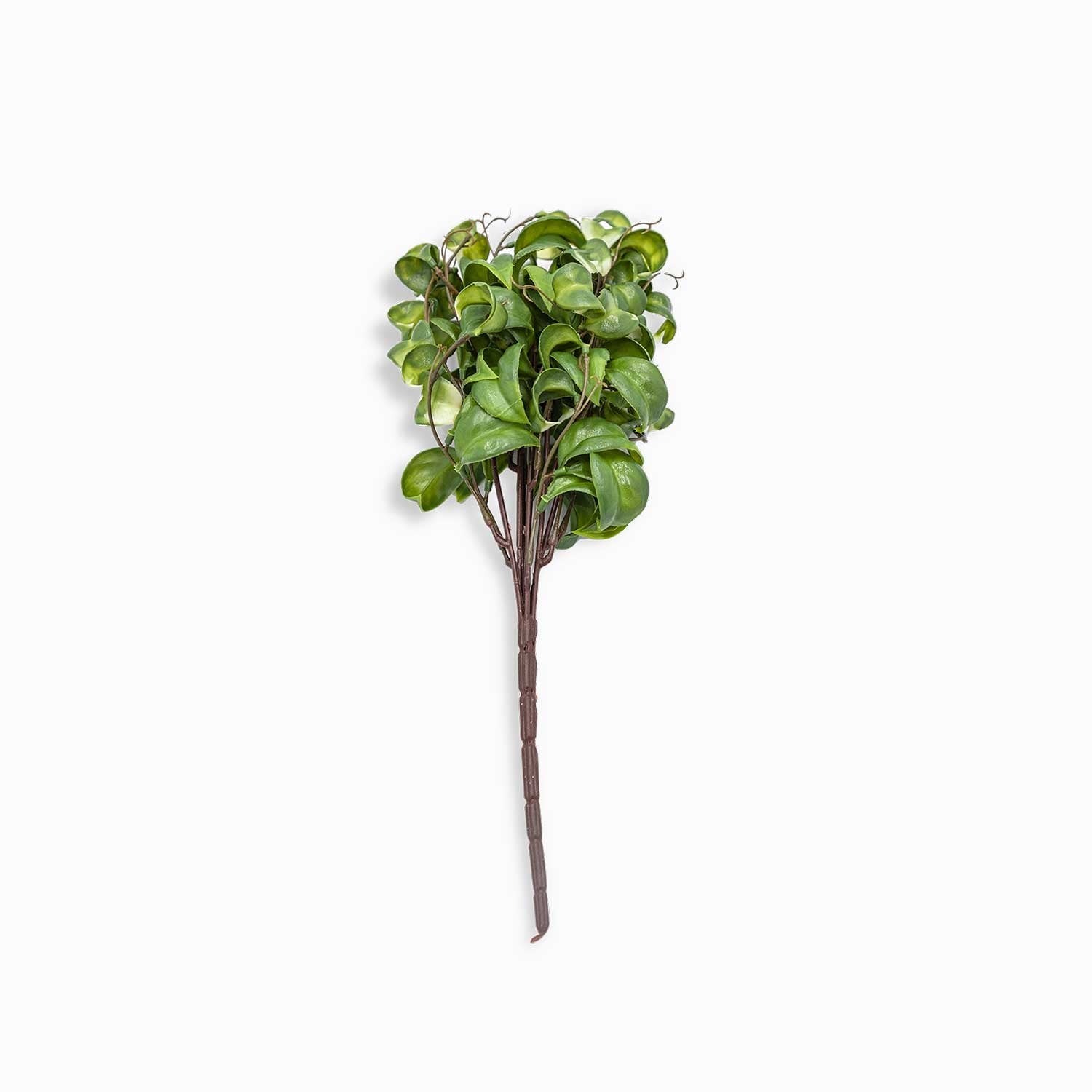 Rama peperomia 37cm - Ambiente Gourmet México