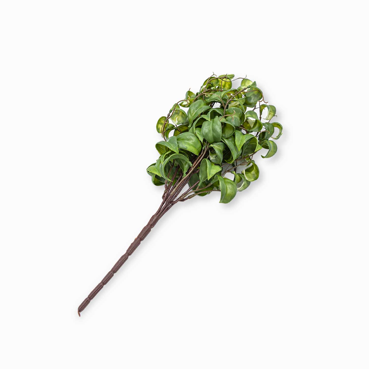Rama peperomia 37cm - Ambiente Gourmet México