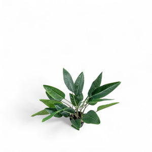 Strelitzia 80cm - Ambiente Gourmet México