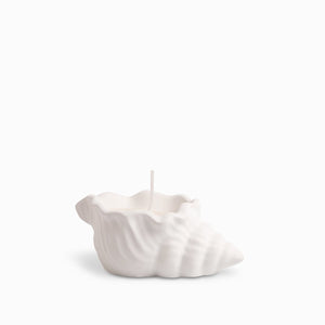 Vela Concha Mar Pequena - Ambiente Gourmet México