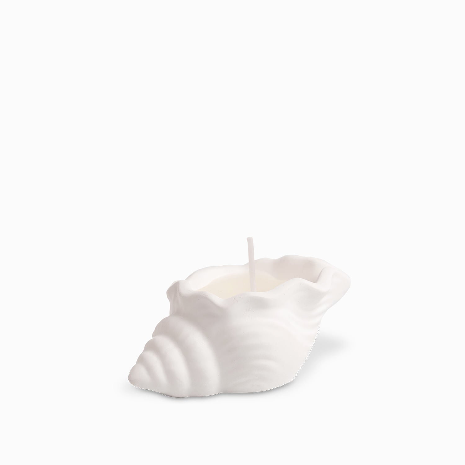 Vela Concha Mar Pequena - Ambiente Gourmet México