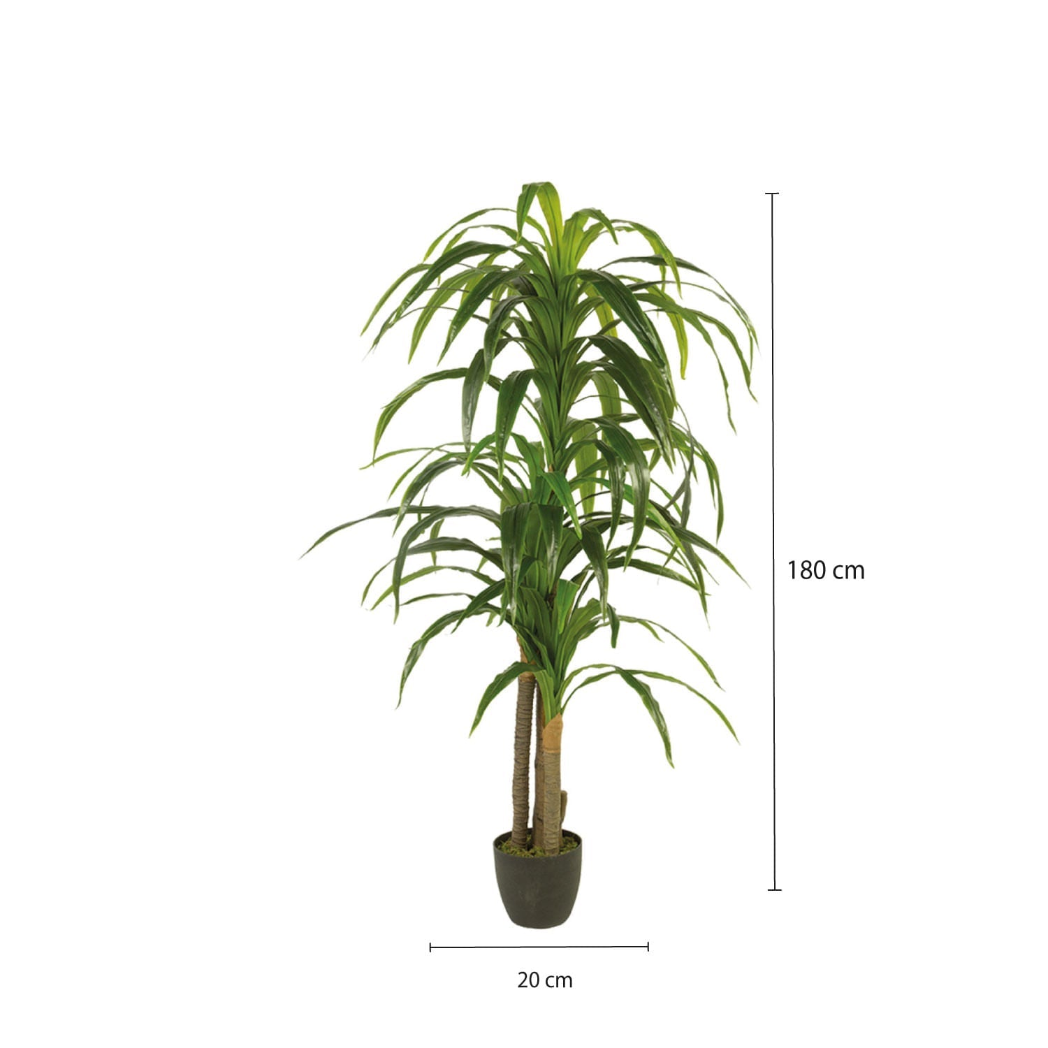 Yuca Artificial 180 cm - Ambiente Gourmet México