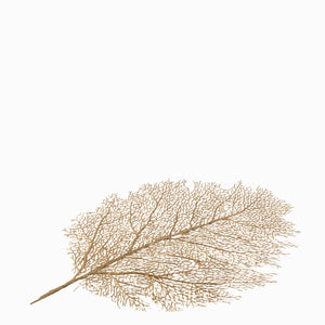 Individual hoja dorada-1-AMBIENTE GOURMET MÉXICO