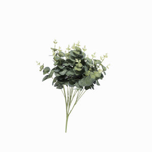 Arbusto de Eucalipto-1-AMBIENTE GOURMET MÉXICO