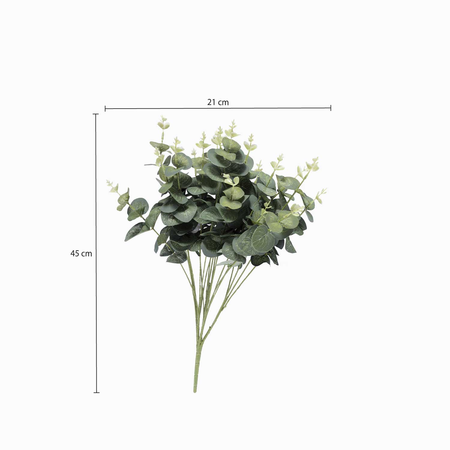 Arbusto de Eucalipto-3-AMBIENTE GOURMET MÉXICO