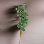Hoja Eucalipto 110cm