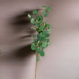 Hoja Eucalipto 110cm-4-AMBIENTE GOURMET MÉXICO