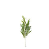 Hoja Helecho 114 cm