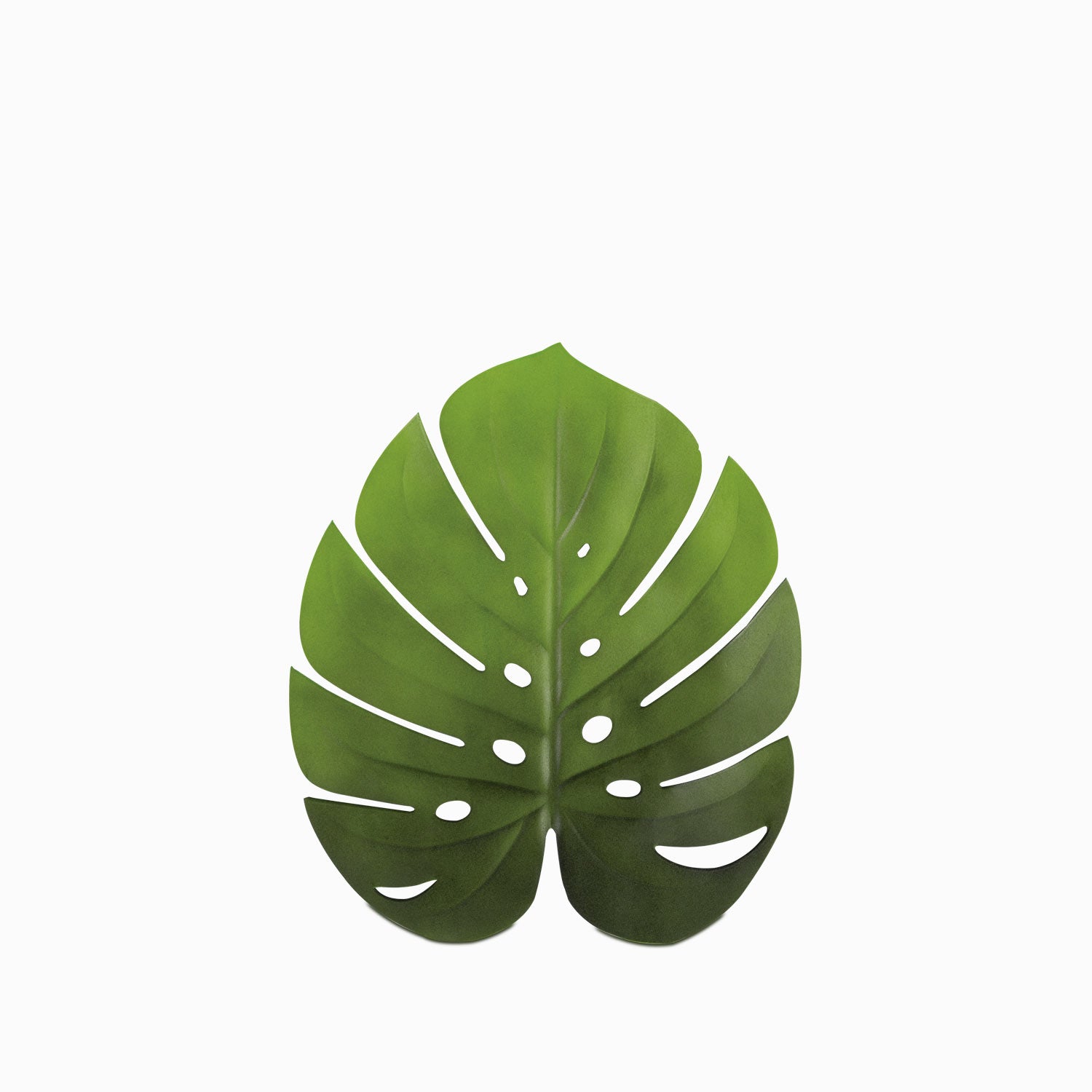 Individual hoja monstera-1-AMBIENTE GOURMET MÉXICO