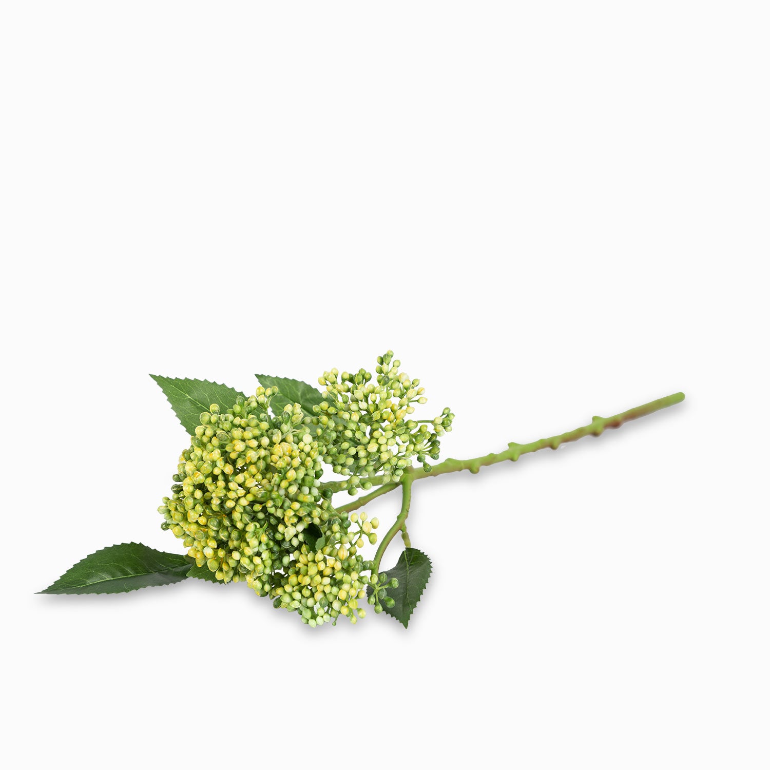 Flor de Tallo amarilla