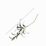 Racimo Eucalipto 68 cm