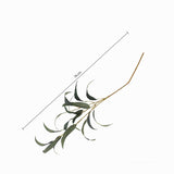 Racimo Eucalipto 68 cm