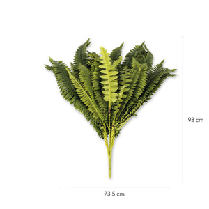 Helecho Boston 42-2-AMBIENTE GOURMET MÉXICO