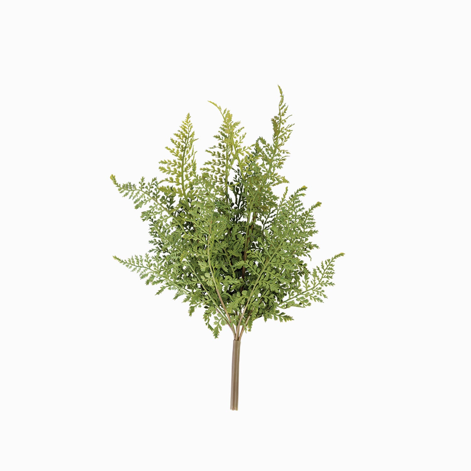 Rama Helecho 55 cm-1-AMBIENTE GOURMET MÉXICO