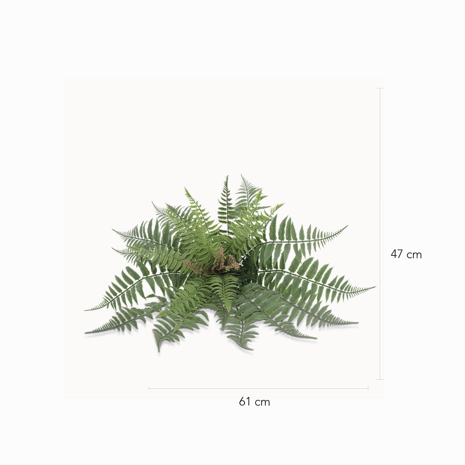 Helecho Florecido 47cm-2-AMBIENTE GOURMET MÉXICO