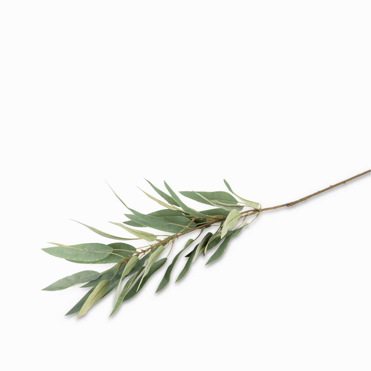 Rama Eucalipto Recto-3-AMBIENTE GOURMET MÉXICO