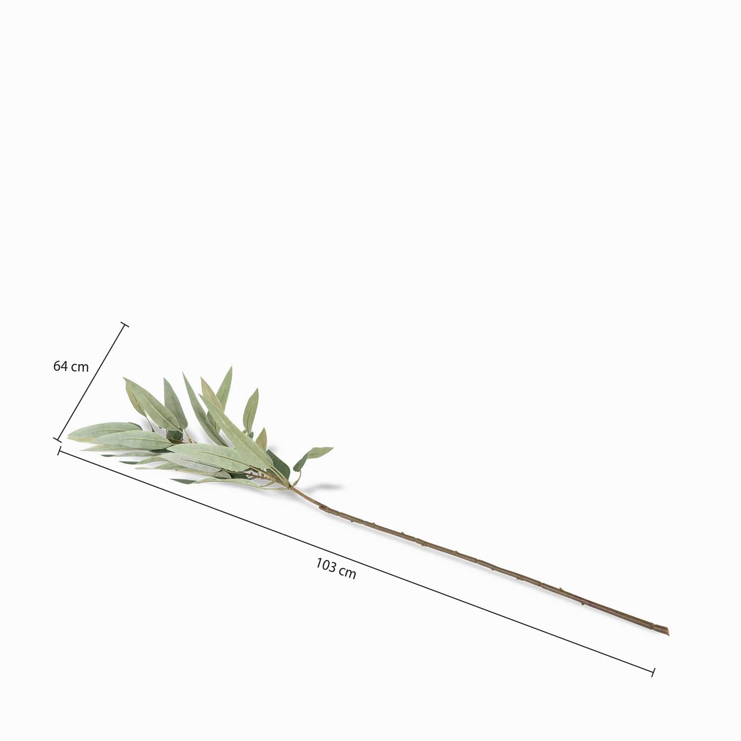 Rama Eucalipto Recto-2-AMBIENTE GOURMET MÉXICO